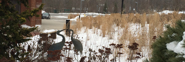 FairfieldWardHS_curved grasses